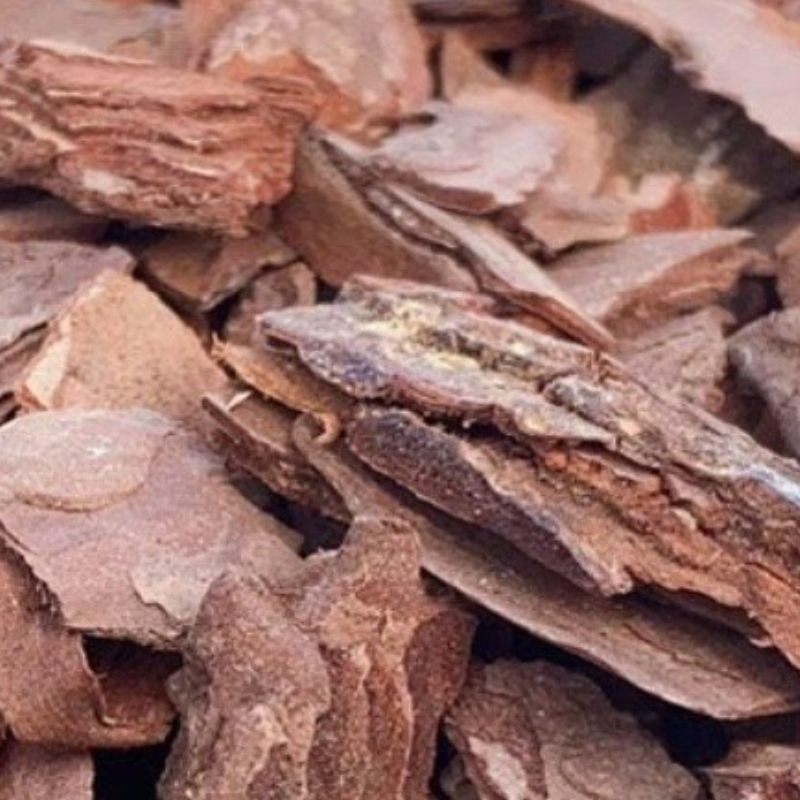 Best Sellers Pine Bark Orchid  – Orchid Potting Mix Bewertung und Preis