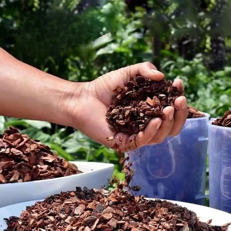 Best Sellers Pine Bark Orchid  – Orchid Potting Mix Bewertung und Preis