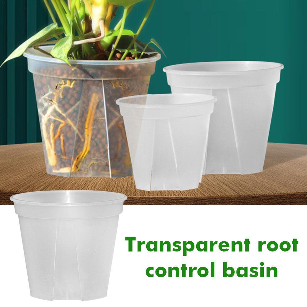 Transparent Plastic Pots Root  – Orchid Potting Mix Bewertung und Preis