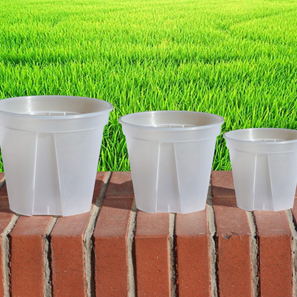 Transparent Plastic Pots Root  – Orchid Potting Mix Bewertung und Preis
