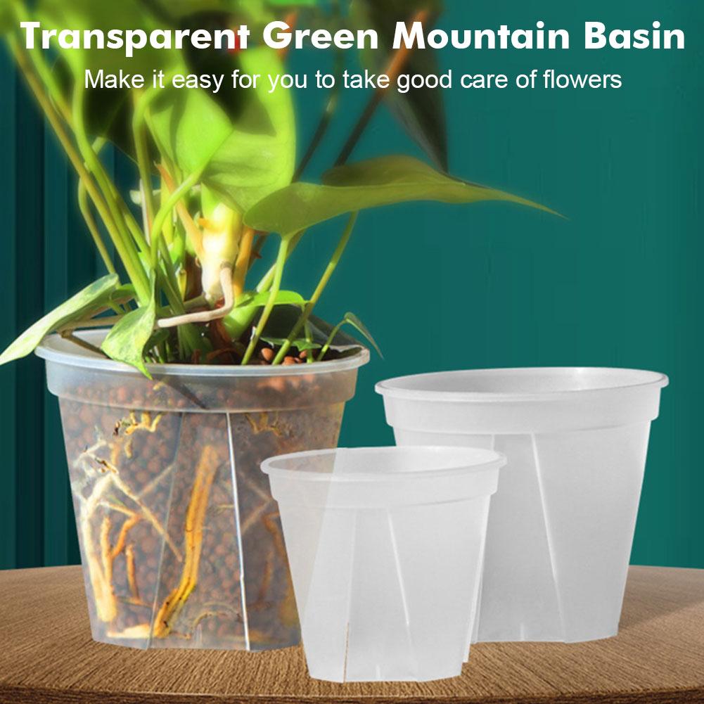 Transparent Plastic Pots Root  – Orchid Potting Mix Bewertung und Preis
