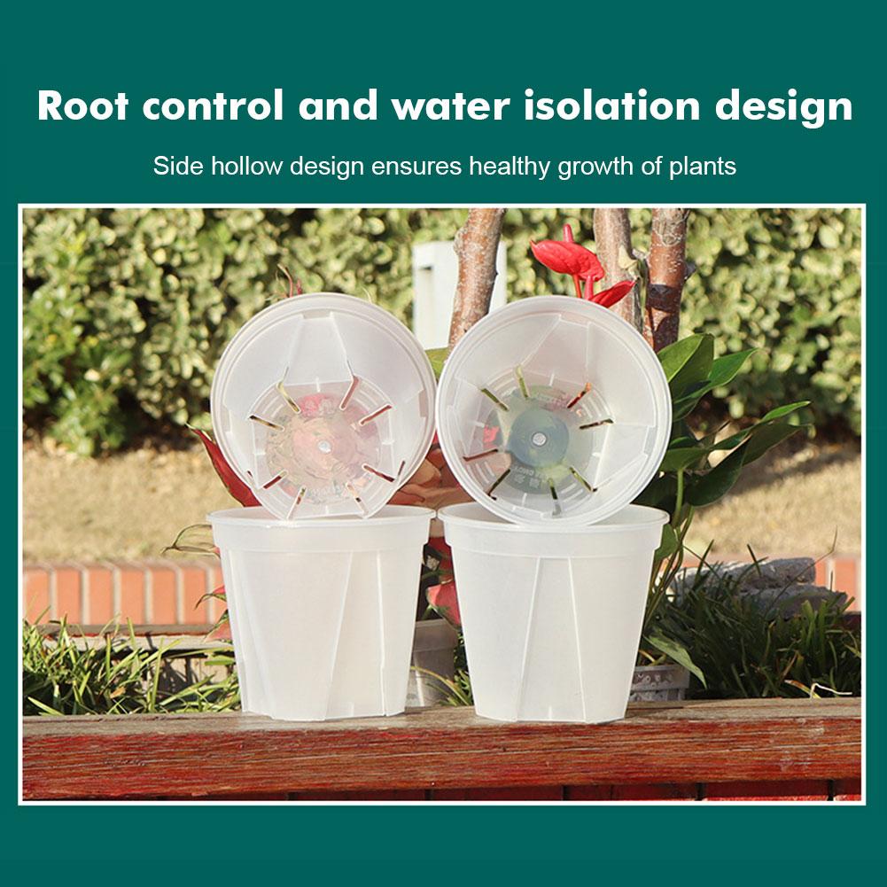 Transparent Plastic Pots Root  – Orchid Potting Mix Bewertung und Preis