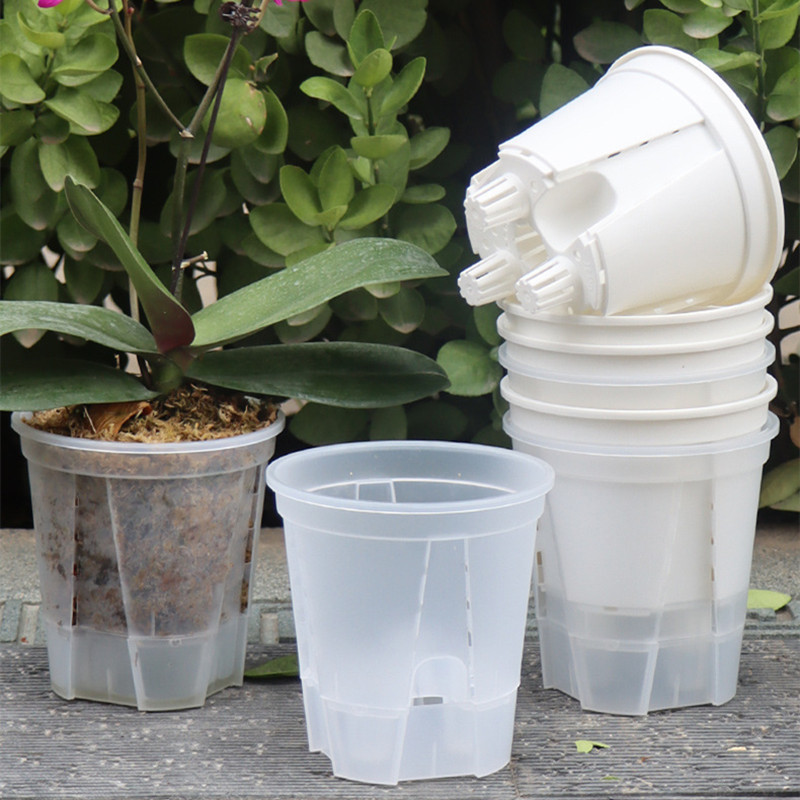 5pcs Transparent Orchid Pot wi – Orchid Potting Mix Bewertung und Preis